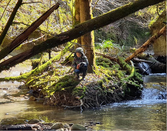 Junge sitz an im Wald an einem Bach